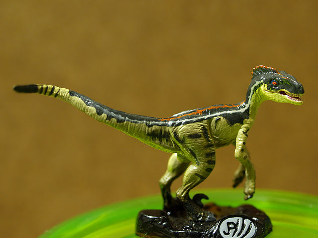 VELOCIRAPTOR-MALE