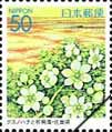 ふるさと切手「九州の花と風景」（クスノハナと有明海）
